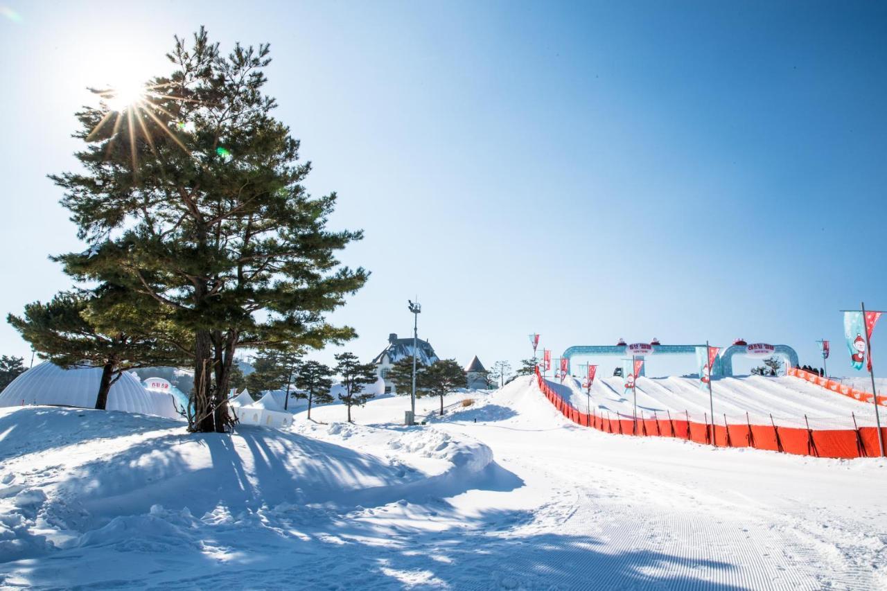 ホテル Sono Felice Vivaldi Park ホンチョン エクステリア 写真